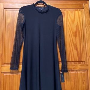 Brand New Classic Black Dress with Long See Through Sleeves by Tiana B with Tag